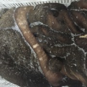 带毛牛肚