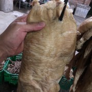 牛大肠碗口