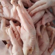 美国6504凤爪