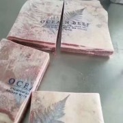 78厂后胸