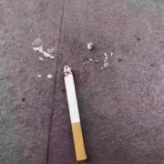 鸭肝