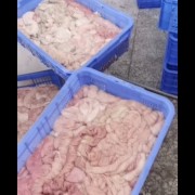 生猪大肠