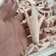 凤爪