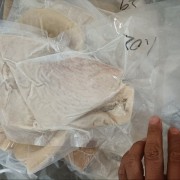 全熟牛肚不水碱发