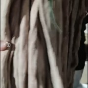 牛小肠