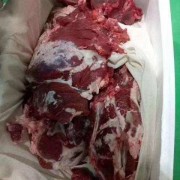 鲁西黄牛肉甩卖