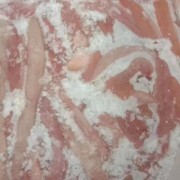 肥猪小肠
