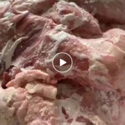 正三七