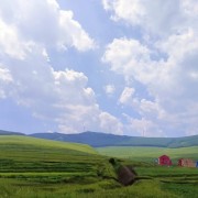 二号肉四号肉一标