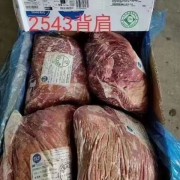 2543背肩肉