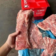 多肉1293颈骨