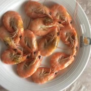 伊朗白虾