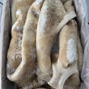 牛肚
