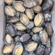 鲍鱼