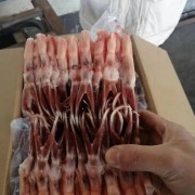 小鸭舌