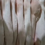 冻猪