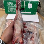 双汇口条