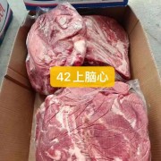 42上脑芯