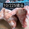 10厂猪头
