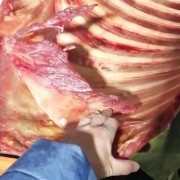 牛排