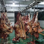 红原牦牛肉