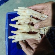 熟脱无骨鸡爪