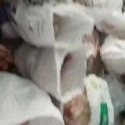 国产无根牛舌