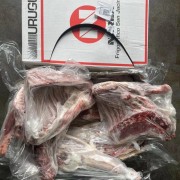 羊六分体小码