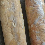 羊头肉 羊副产品
