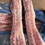 126背骨