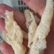 脱骨鸡爪