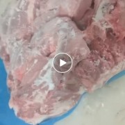 母猪精修二号肉