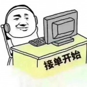 791小米龙