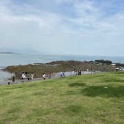 076翅中