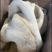 全熟牛肚