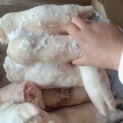 二级猪蹄