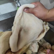 牛大肚