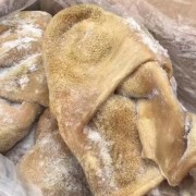 纯干牛肚