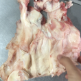 牛窝骨筋