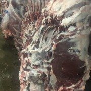 全牛肉