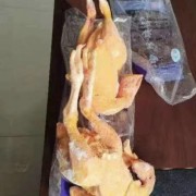 清远麻鸡