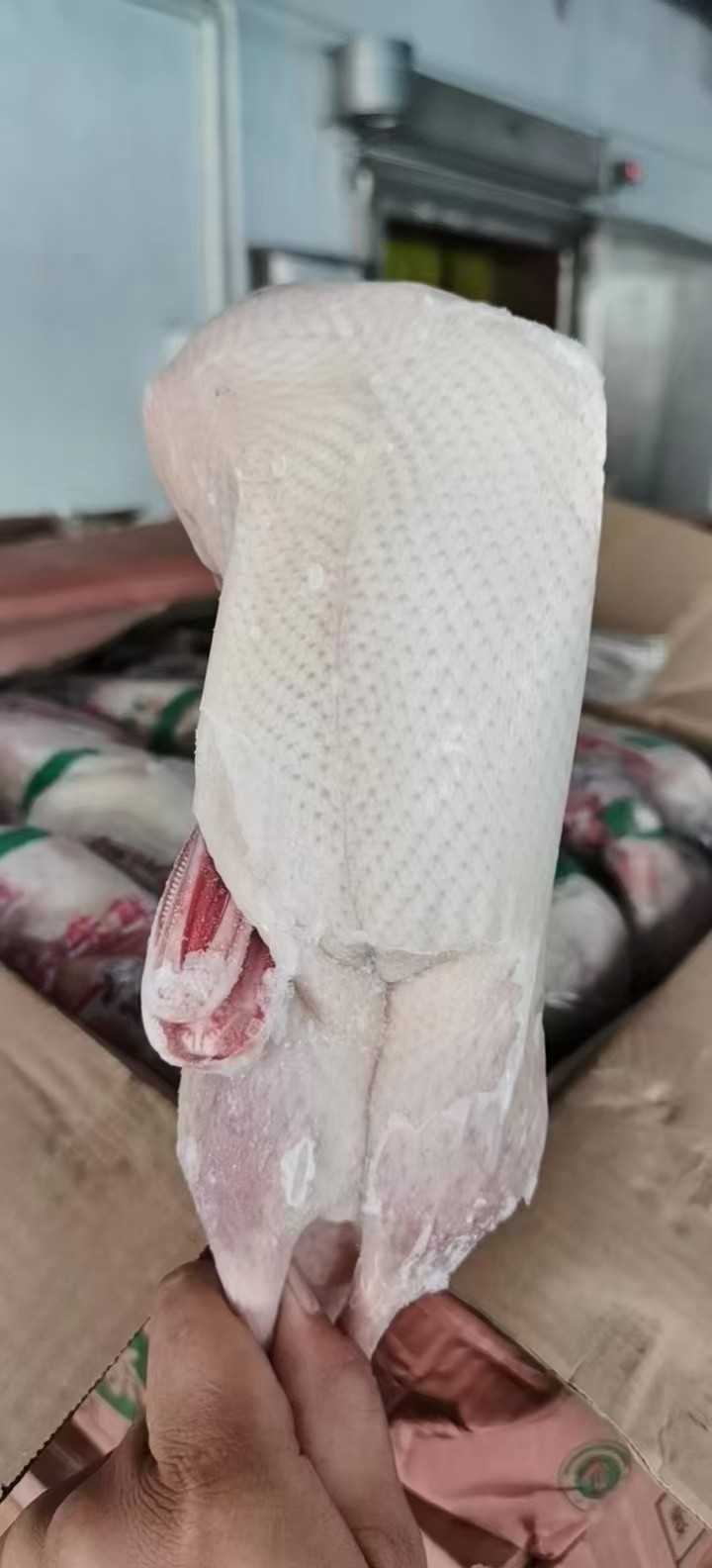 白条鸭批发山东菏泽市白条鸭价格_肉交所