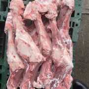 后腿骨