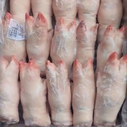 后蹄