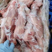 带腱前/后腿骨