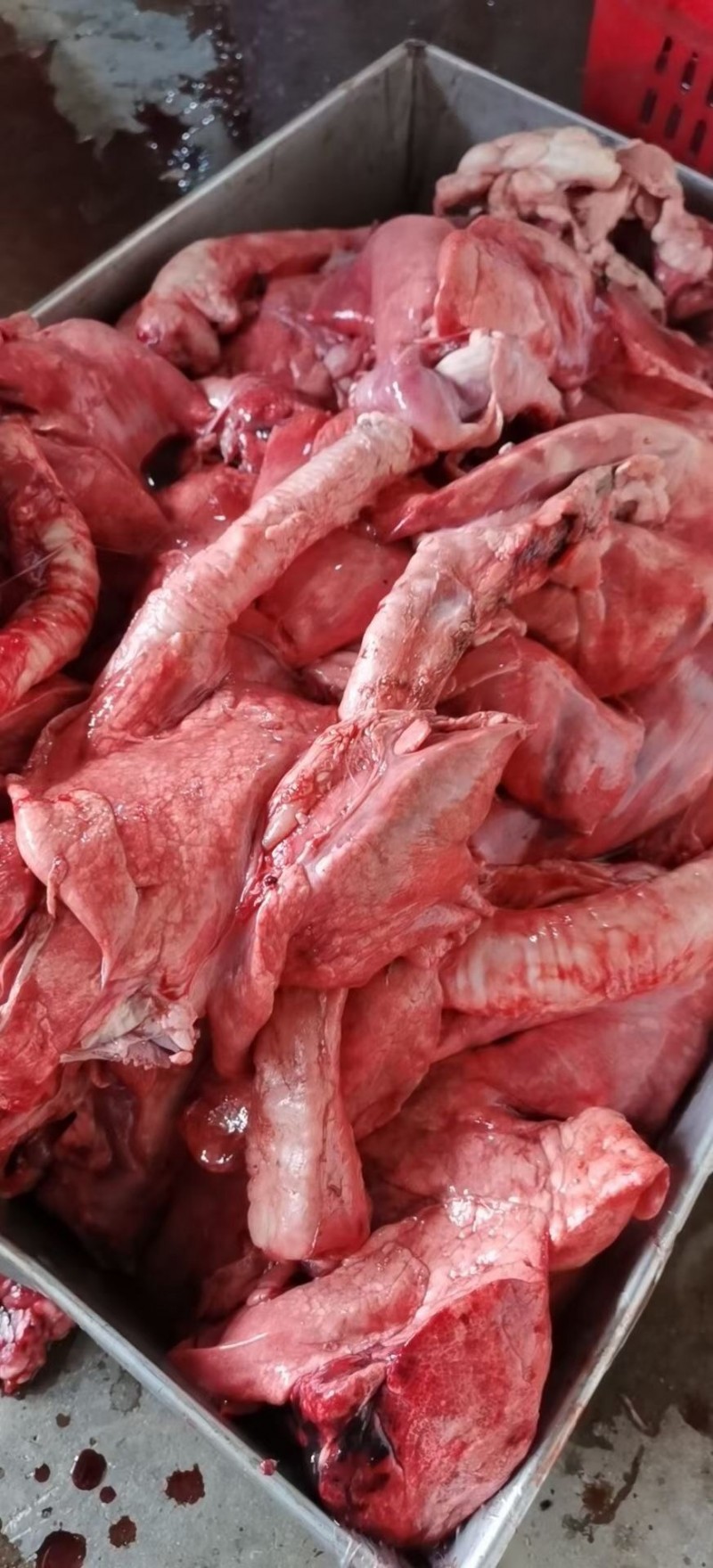 羊心肺批发河南濮阳市羊心肺价格_肉交所