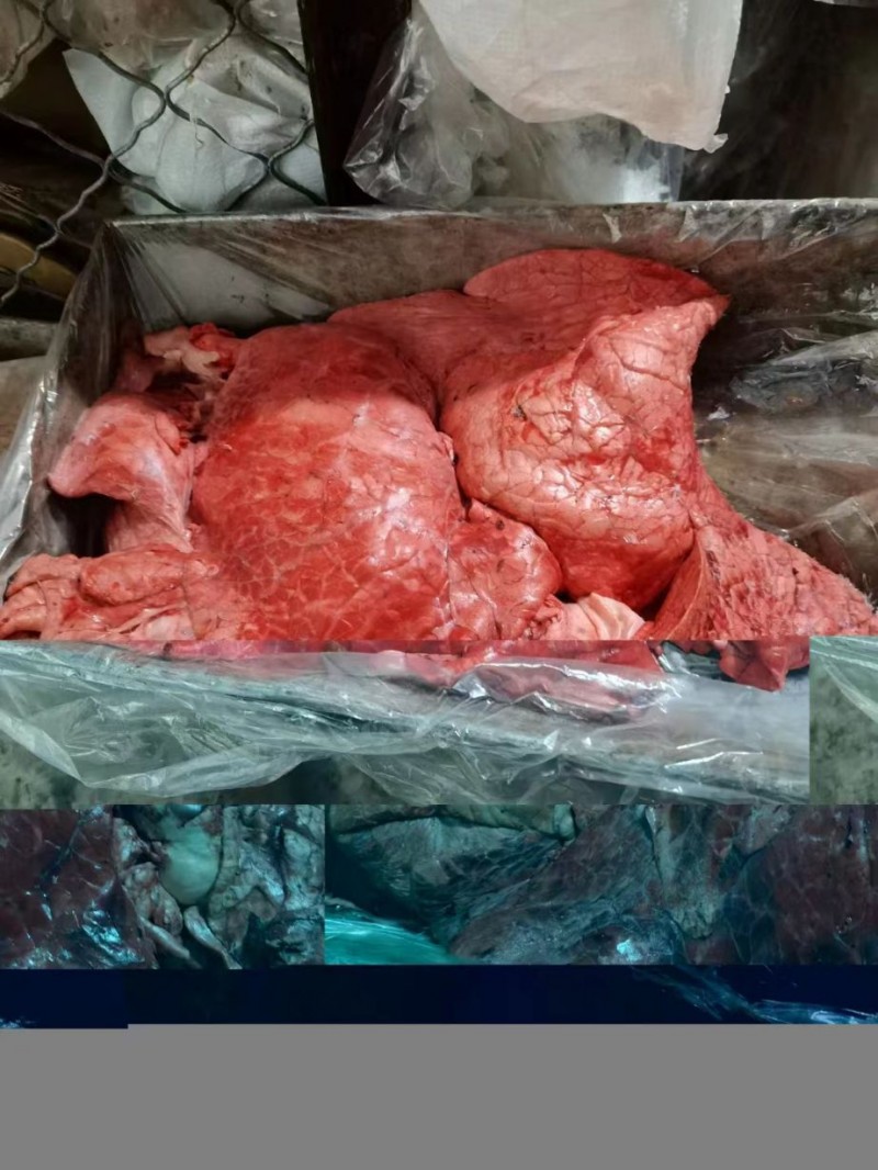 牛肺批发黑龙江哈尔滨市牛肺价格_肉交所
