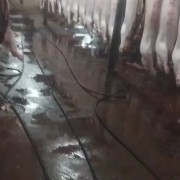 鲜肉边口