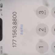 熟肚