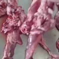 羊脖肉油
